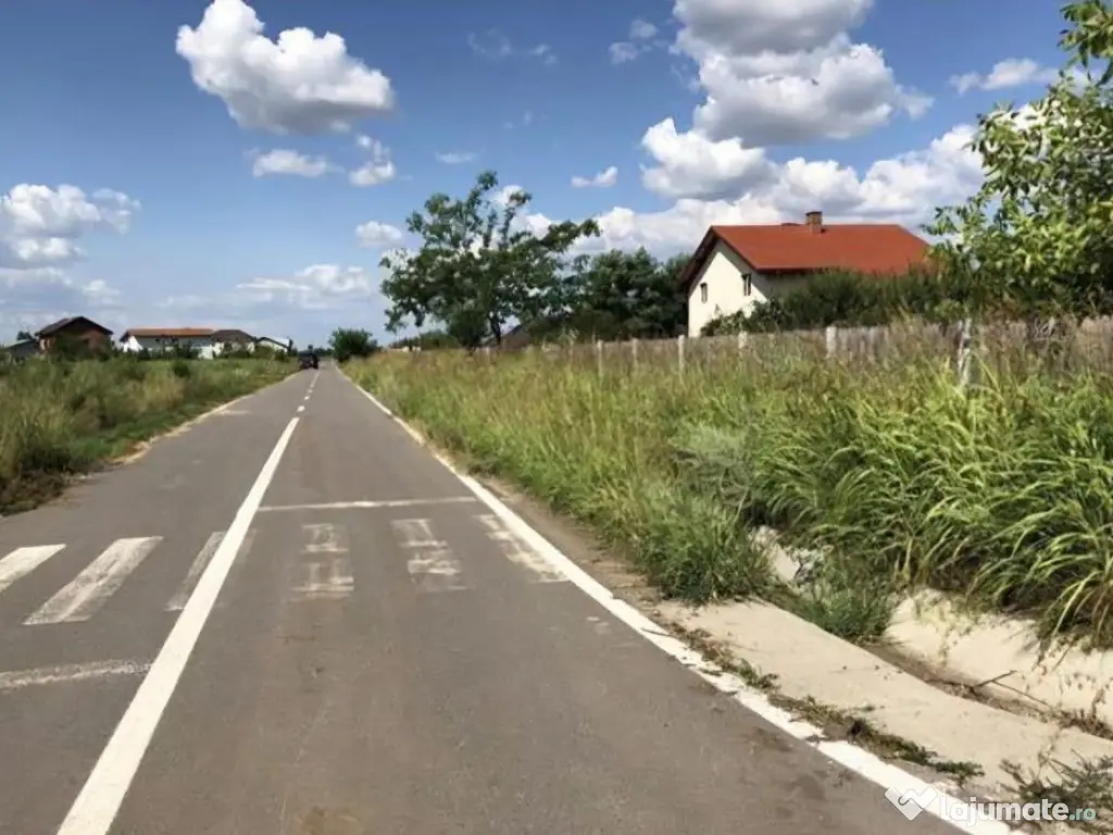 Terenuri Industriale 2000-5000mp Magurele-Buda 