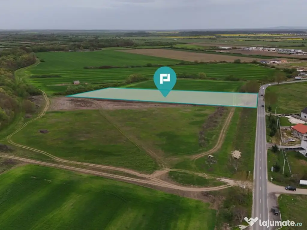 Teren intravilan 5800 mp în Remetea Mare 