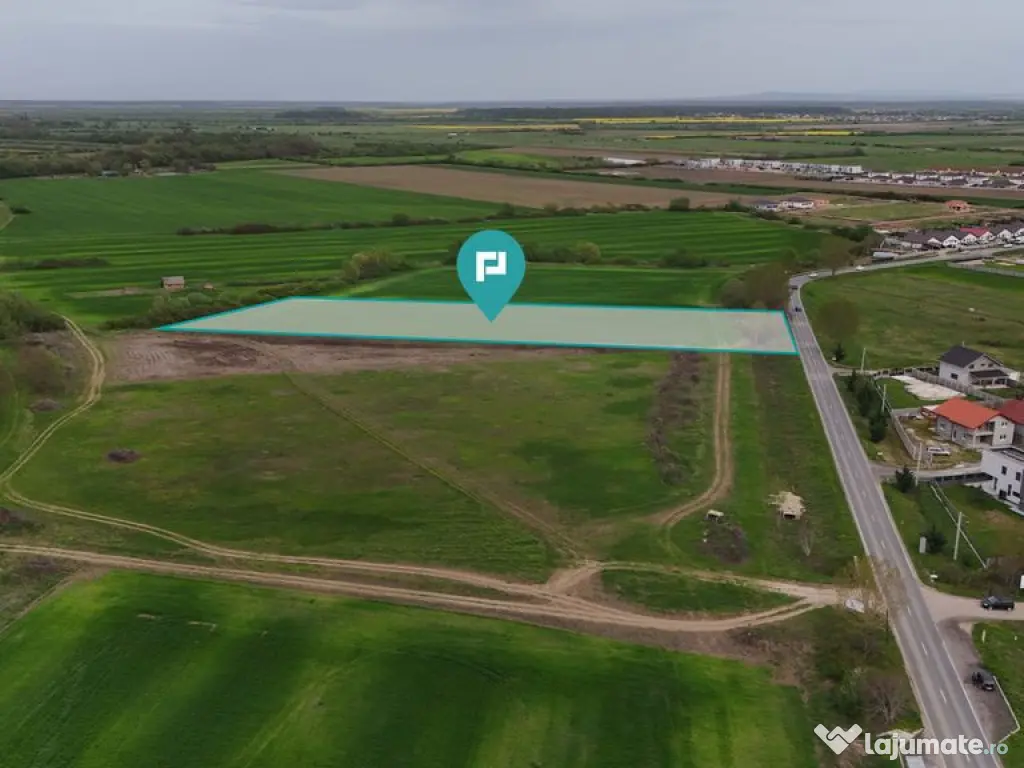 Teren intravilan 5800 mp în Remetea Mare 