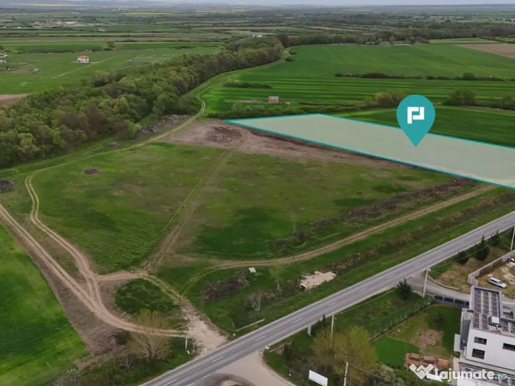 Teren intravilan 5800 mp în Remetea Mare 