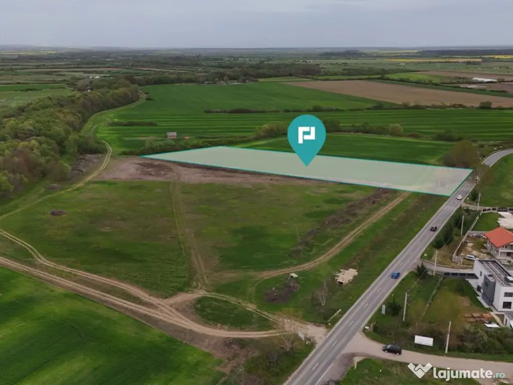 Teren intravilan 5800 mp în Remetea Mare 