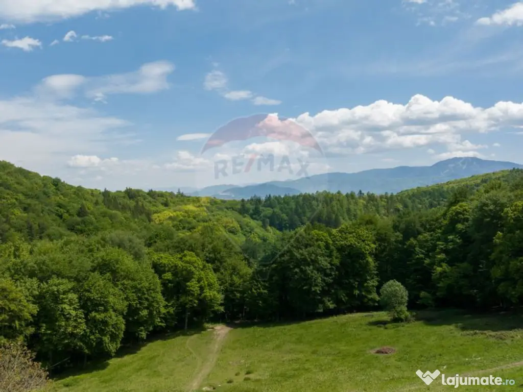 Teren de vânzare – Colonia 1 Mai, 5.310 mp, ideal pent... 