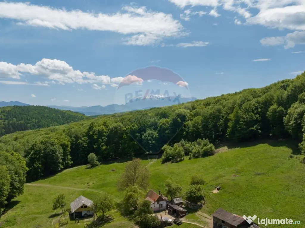Teren de vânzare – Colonia 1 Mai, 5.310 mp, ideal pent... 