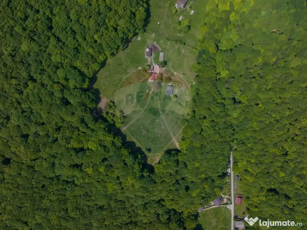 Teren de vânzare – Colonia 1 Mai, 5.310 mp, ideal pent... 