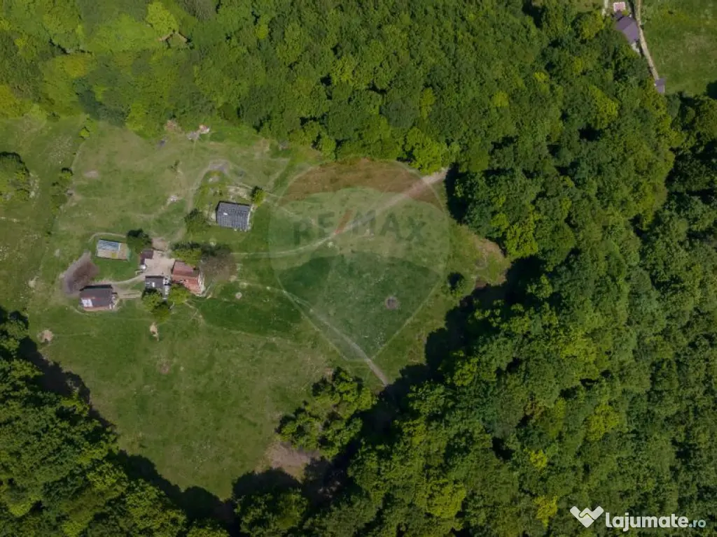 Teren de vânzare – Colonia 1 Mai, 5.310 mp, ideal pent... 