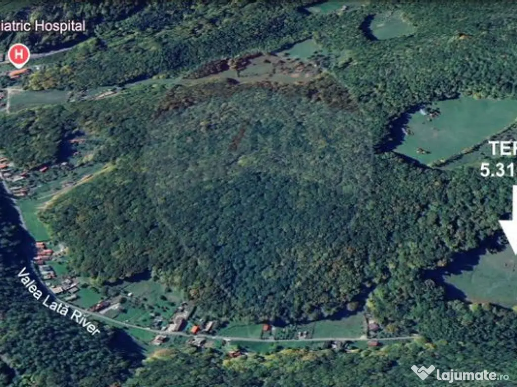 Teren de vânzare – Colonia 1 Mai, 5.310 mp, ideal pent... 