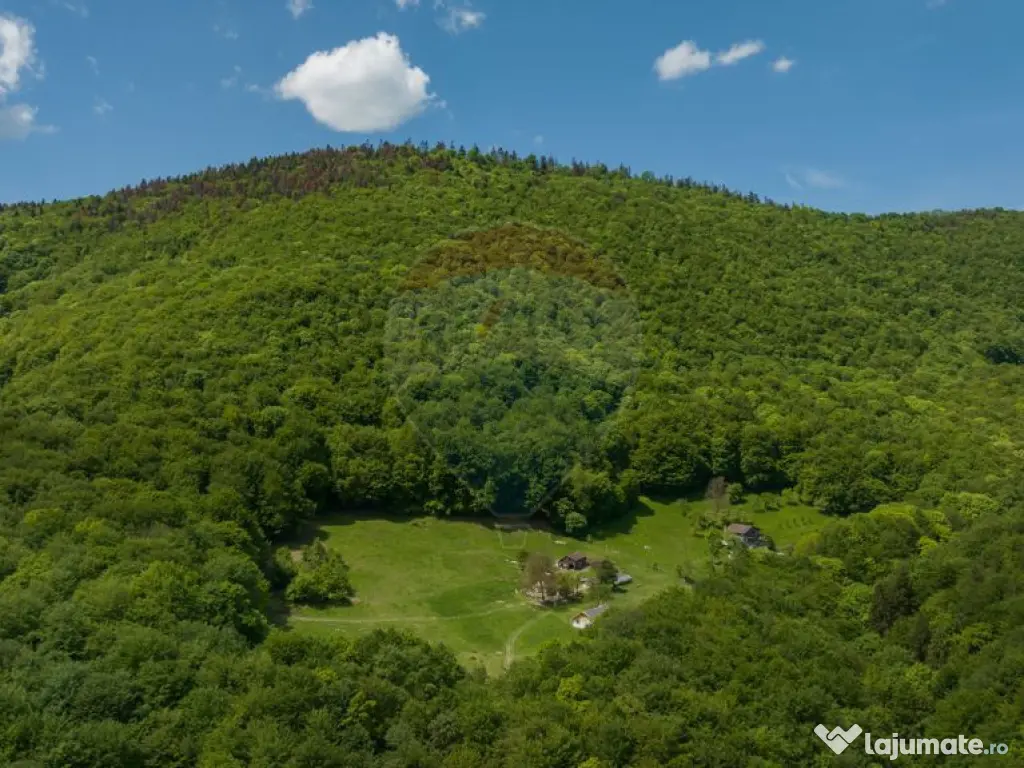 Teren de vânzare – Colonia 1 Mai, 5.310 mp, ideal pent... 