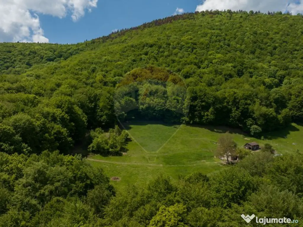 Teren de vânzare – Colonia 1 Mai, 5.310 mp, ideal pent... 