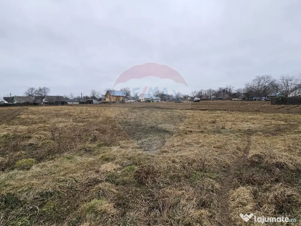 Casă / Vilă cu 12 camere, teren intravilan de 2869mp î... 