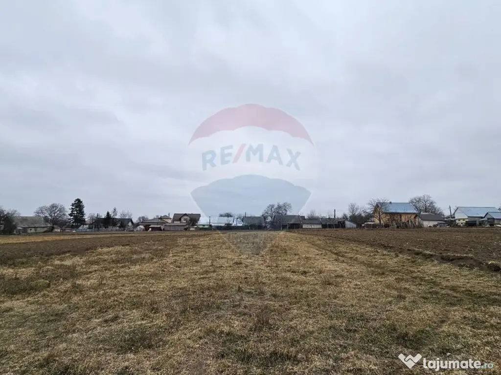 Casă / Vilă cu 12 camere, teren intravilan de 2869mp î... 