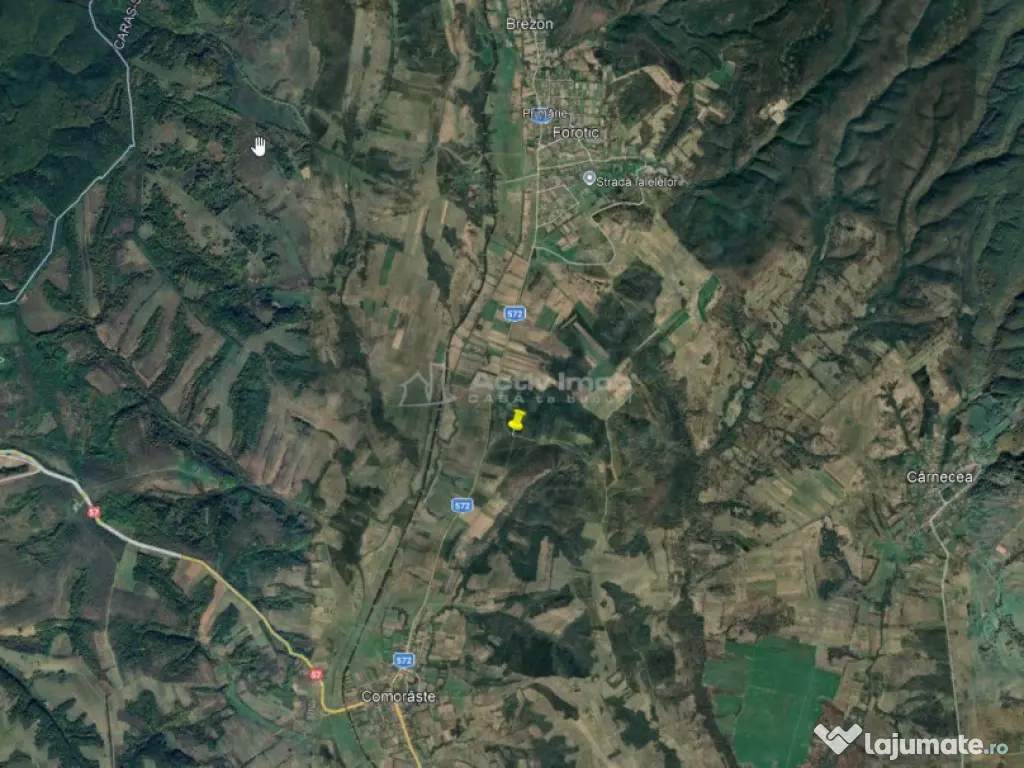 Forotic, Teren Drept Pentru Investitie, 13.2 Hectare (132.00 