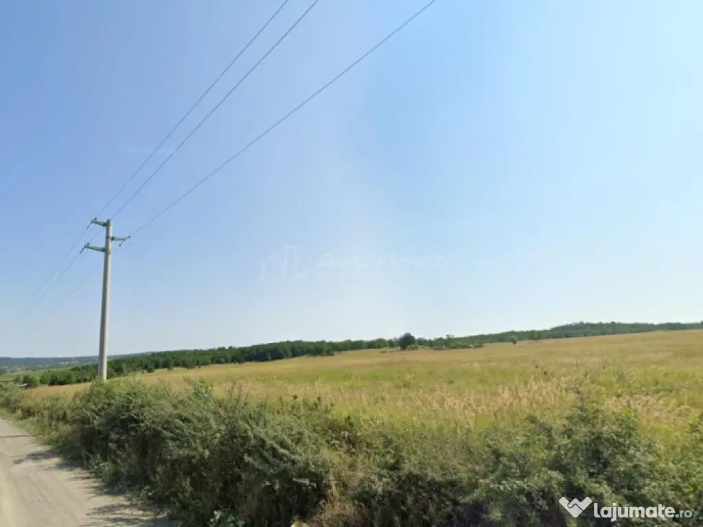 Forotic, Teren Drept Pentru Investitie, 13.2 Hectare (132.00 