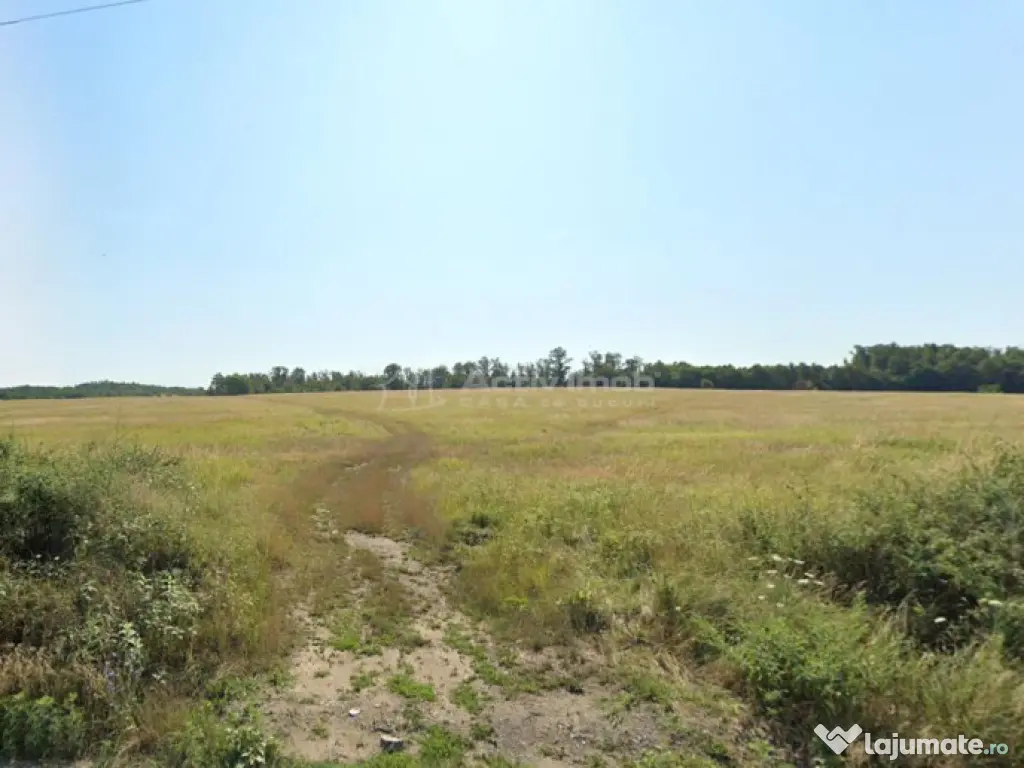 Forotic, Teren Drept Pentru Investitie, 13.2 Hectare (132.00 