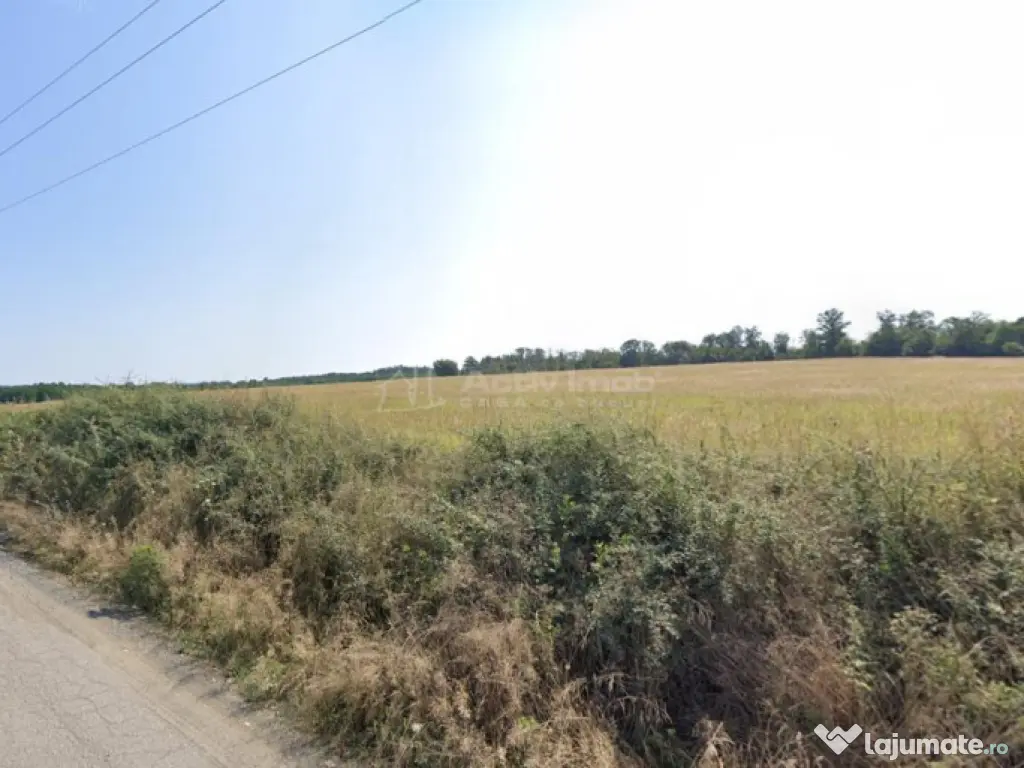 Forotic, Teren Drept Pentru Investitie, 13.2 Hectare (132.00 