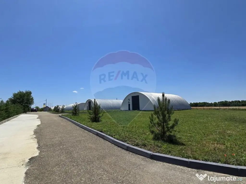 DE VANZARE | Hale | 1407mp | Teren 9344 | Potigrafu 