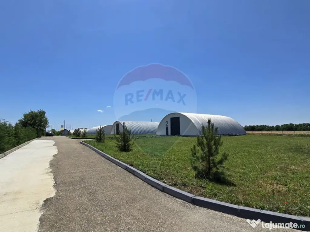 DE VANZARE | Hale | 1407mp | Teren 9344 | Potigrafu 