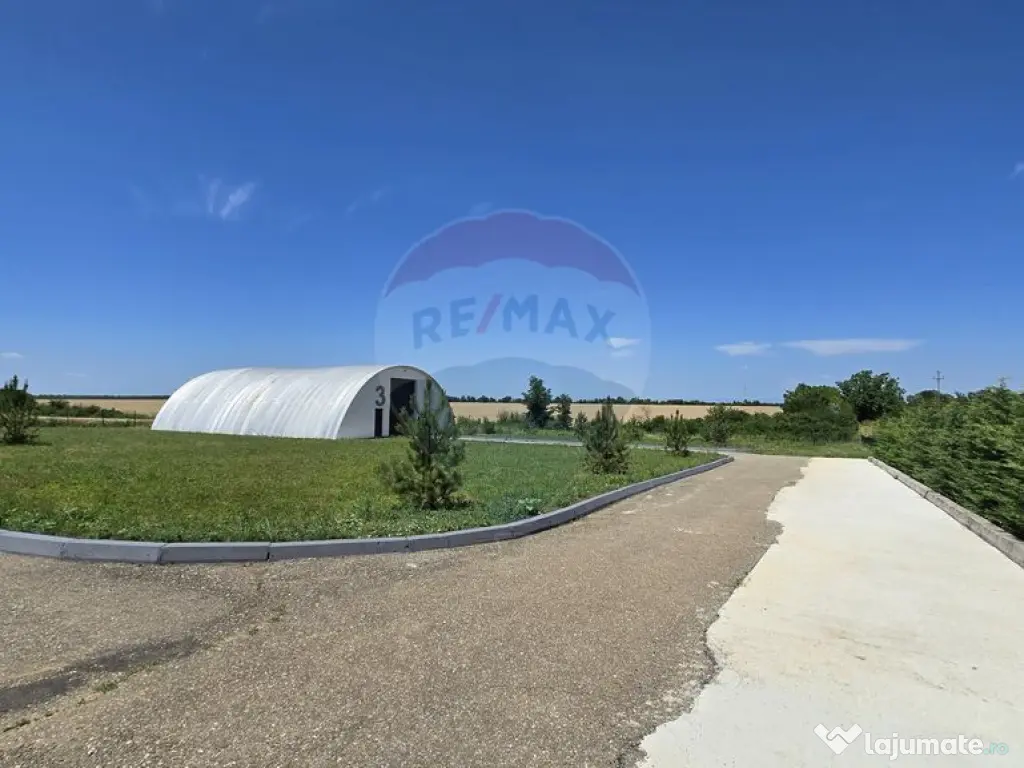 DE VANZARE | Hale | 1407mp | Teren 9344 | Potigrafu 