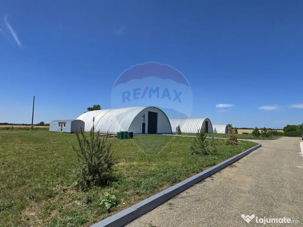 DE VANZARE | Hale | 1407mp | Teren 9344 | Potigrafu 