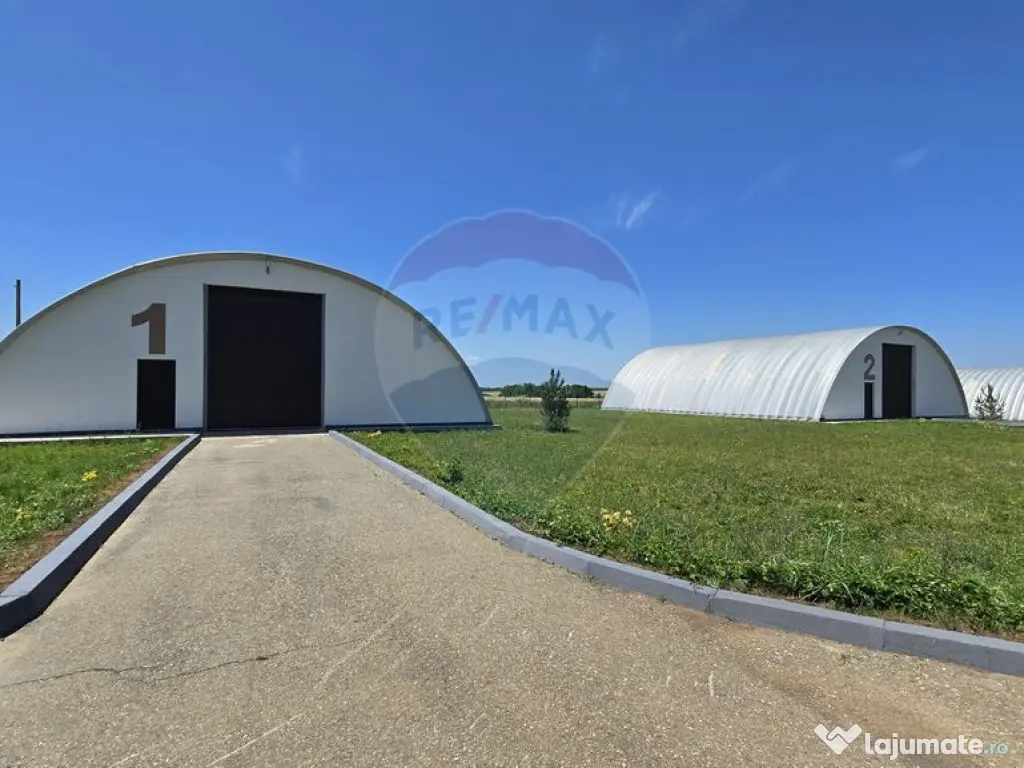 DE VANZARE | Hale | 1407mp | Teren 9344 | Potigrafu 