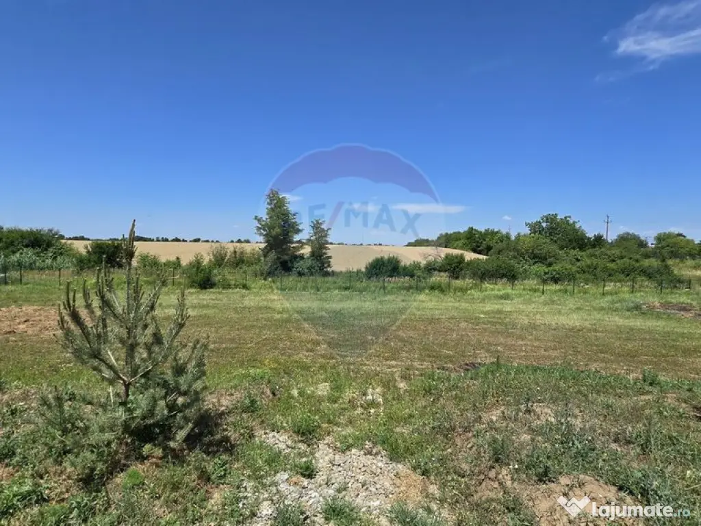 DE VANZARE | Hale | 1407mp | Teren 9344 | Potigrafu 