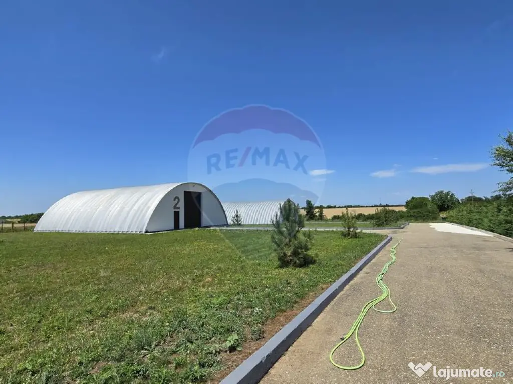 DE VANZARE | Hale | 1407mp | Teren 9344 | Potigrafu 