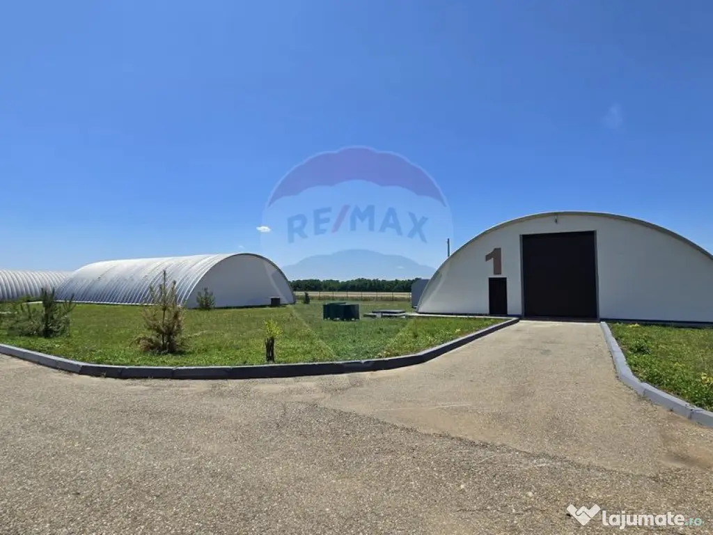 DE VANZARE | Hale | 1407mp | Teren 9344 | Potigrafu 