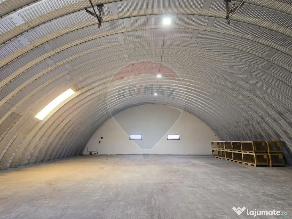 DE VANZARE | Hale | 1407mp | Teren 9344 | Potigrafu 