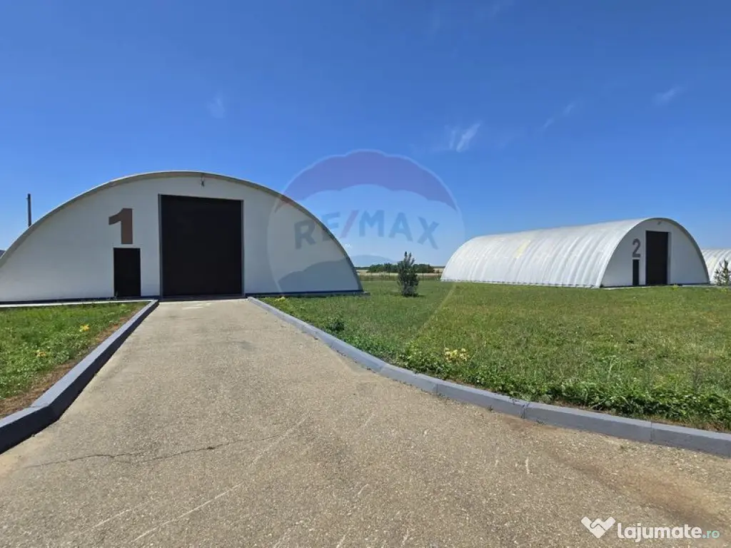 DE VANZARE | Hale | 1407mp | Teren 9344 | Potigrafu 