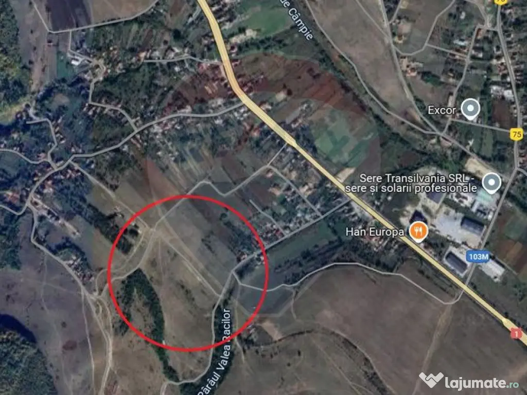 Teren de vanzare in Valcele, 3900 MP ! Comision 0% 