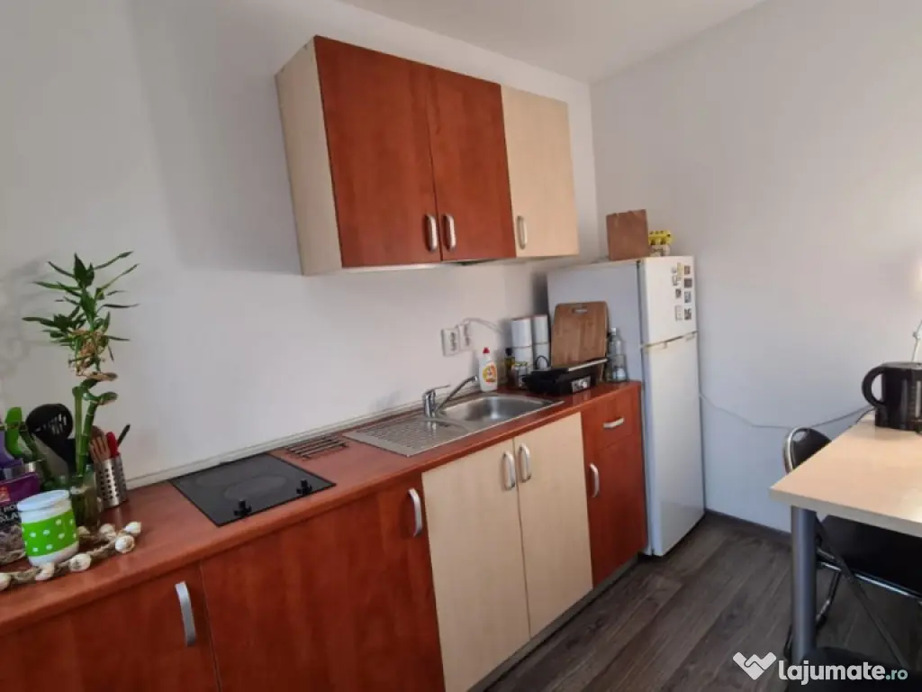 2 Camere in vila -Eminescu 