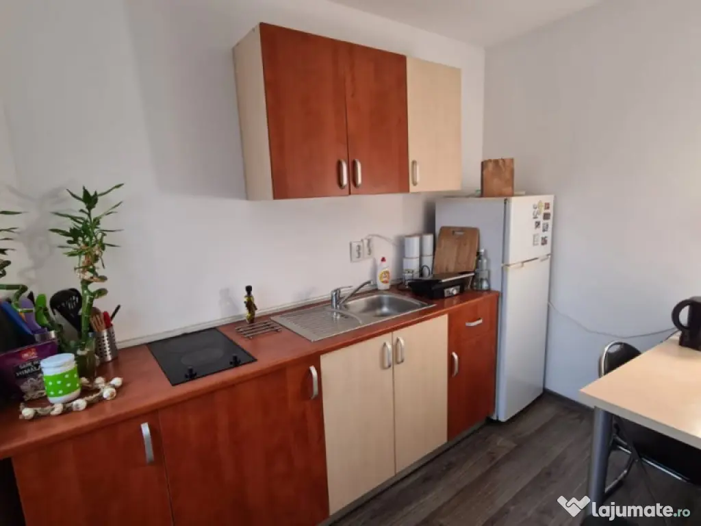 Oferta de Pasti-2 Camere in vila -Calea Mosilor-Eminescu 