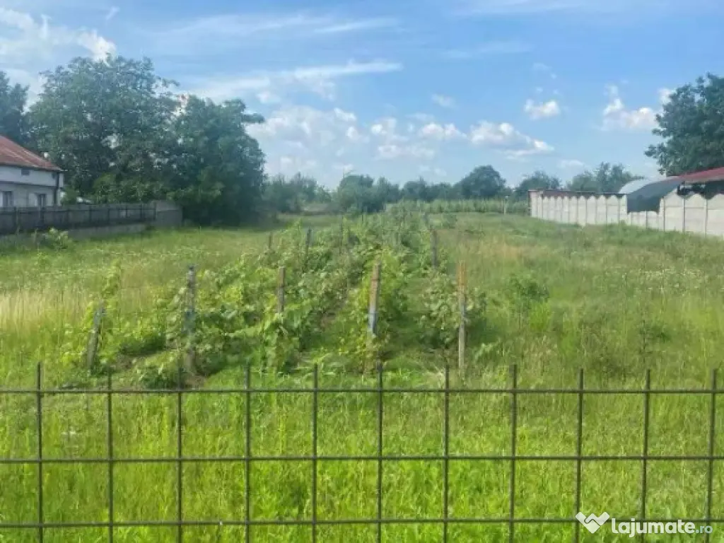 Teren intravilan Cârcea 2900mp