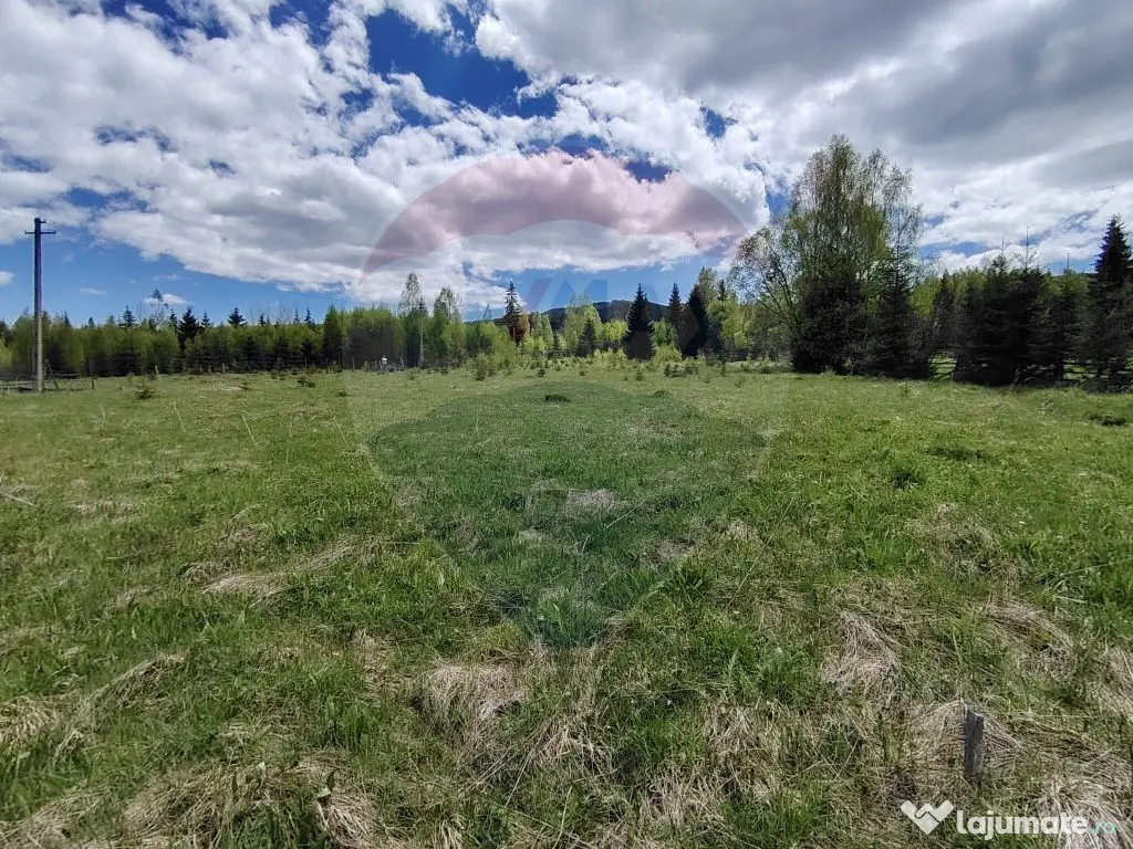 Teren 2,000 mp Saru Dornei / Strada Principala 