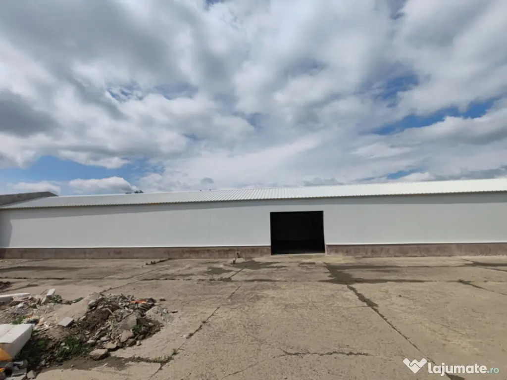 Hala de inchiriat - 320 MP, zona Complex Max, Restaurant Reg 