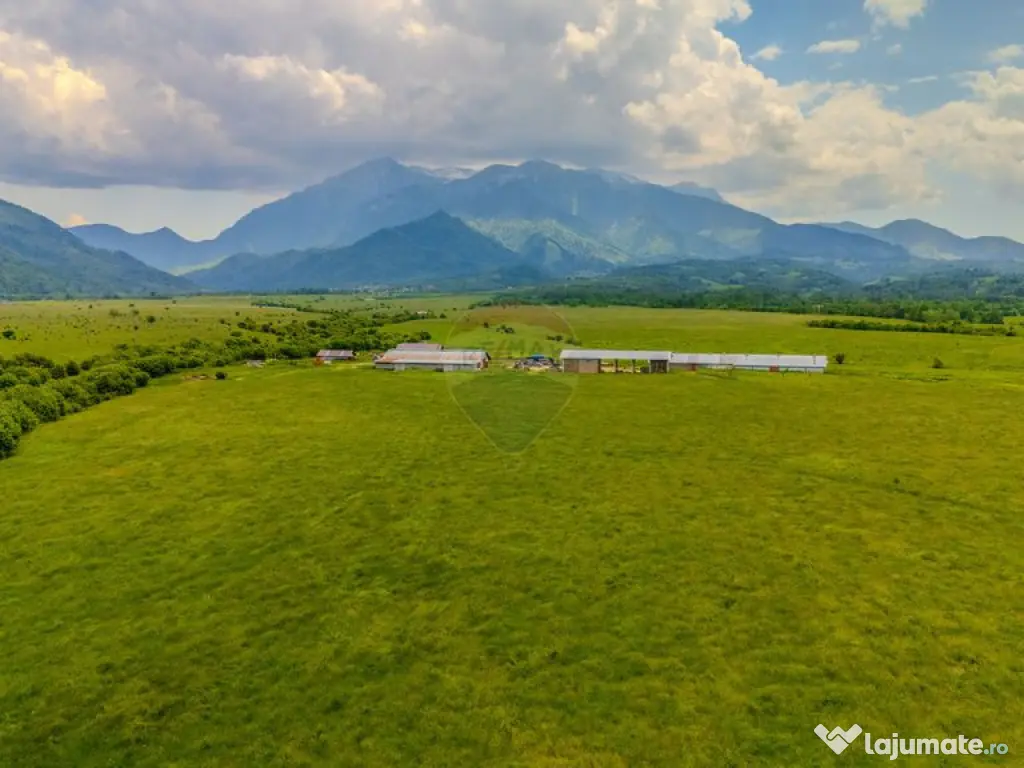 Teren 10,800mp Rasnov / Drumul DN73 