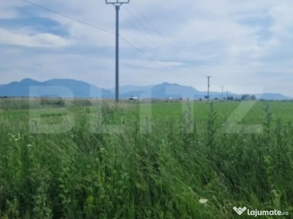 Teren extravilan, 1203 mp pretabil pentru investitie ,casa p