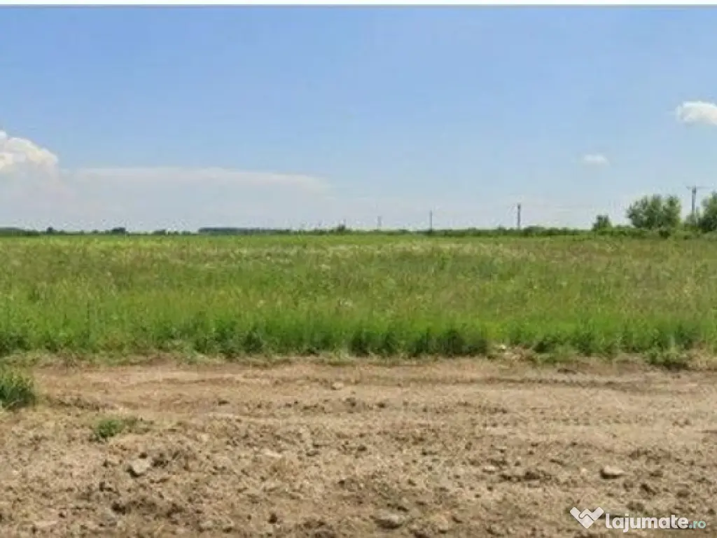 Teren Costestii din Vale, ID: R2582235 