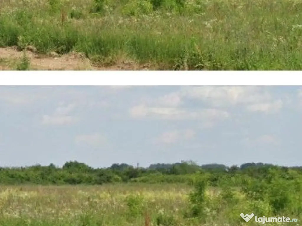 Teren Costestii din Vale, ID: R2582235 