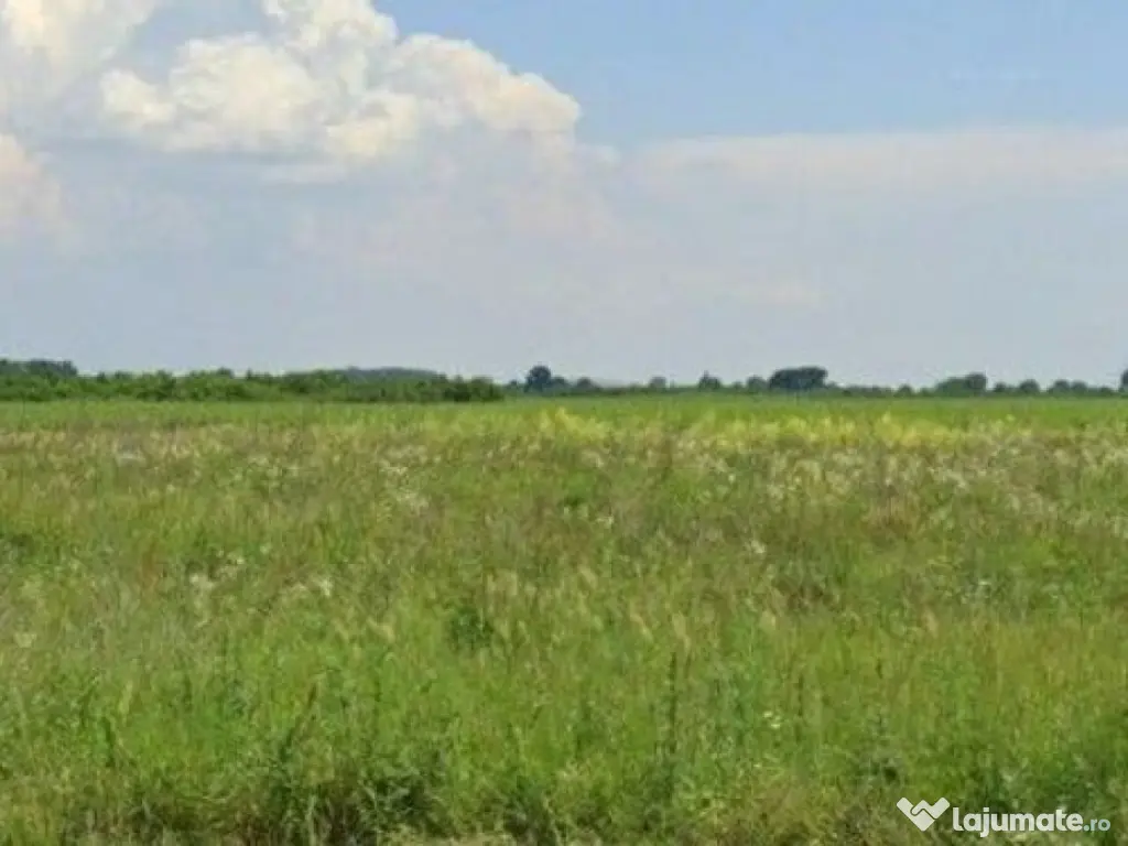 Teren Costestii din Vale, ID: R2582235 