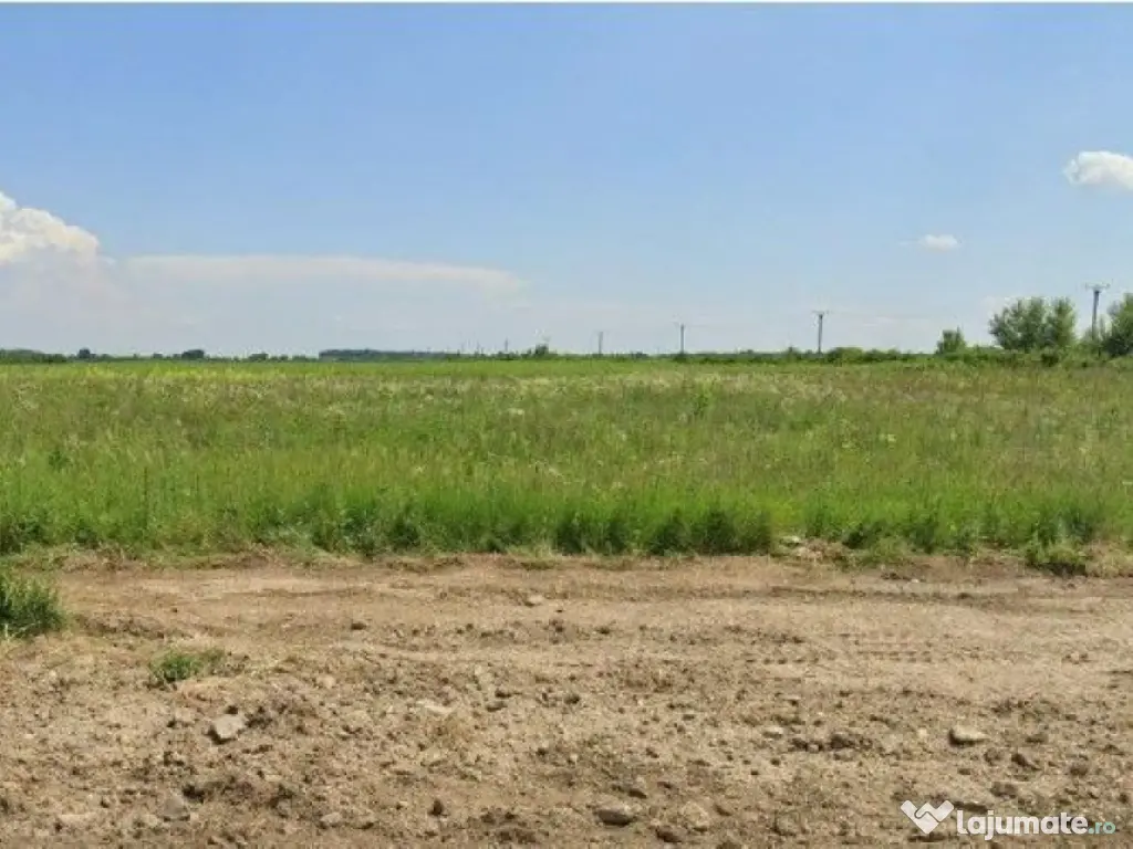 Teren Costestii din Vale, ID: R2582235 