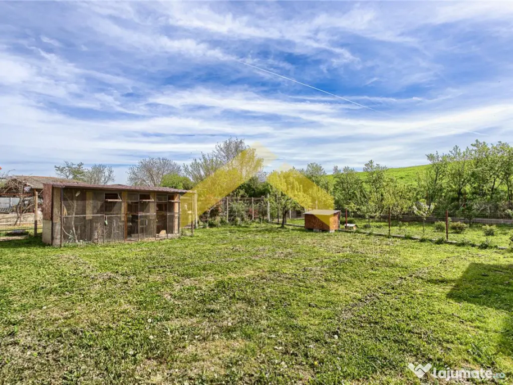 Casa noua de Sannicolau Mic