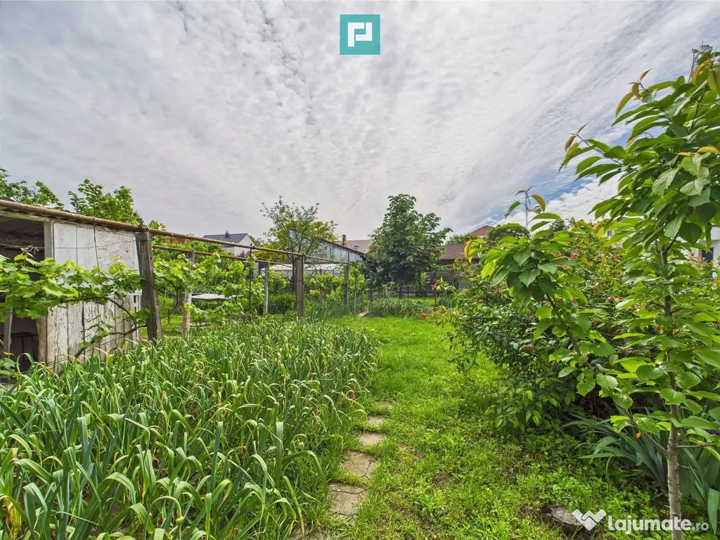 Casă individuală în zona Lipovei- Venue