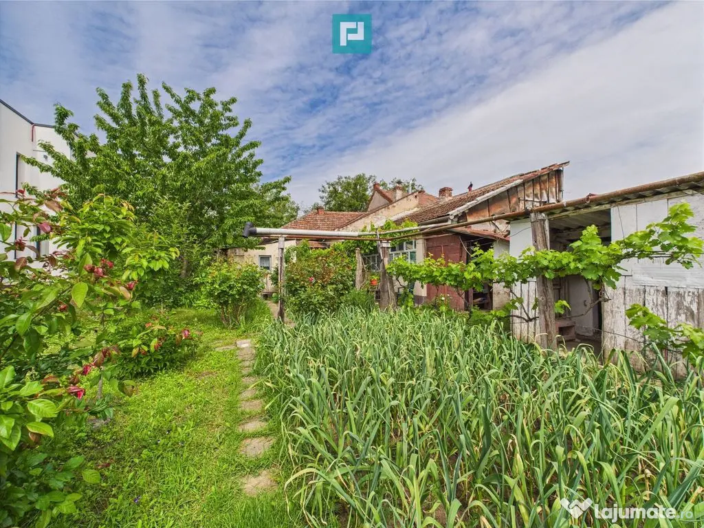 Casă individuală în zona Lipovei- Venue