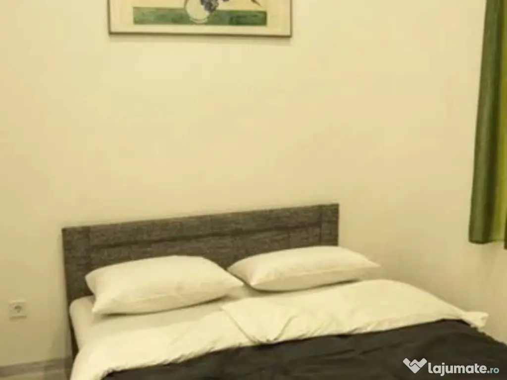 2 camere in zona Medicinei