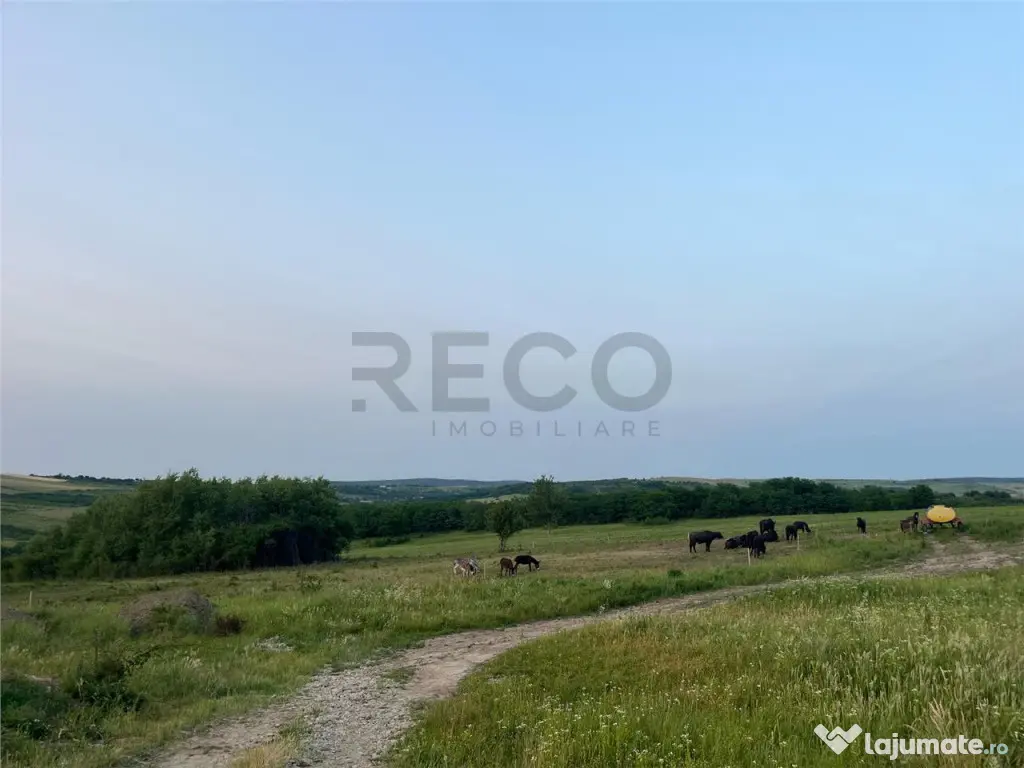 RECO Teren in Paleu 903 mp, acces rapid din Saldabagiu de Mu