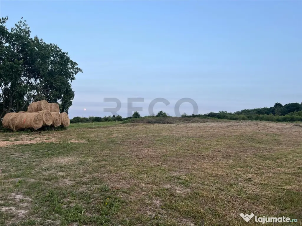 RECO Teren in Paleu 903 mp, acces rapid din Saldabagiu de Mu
