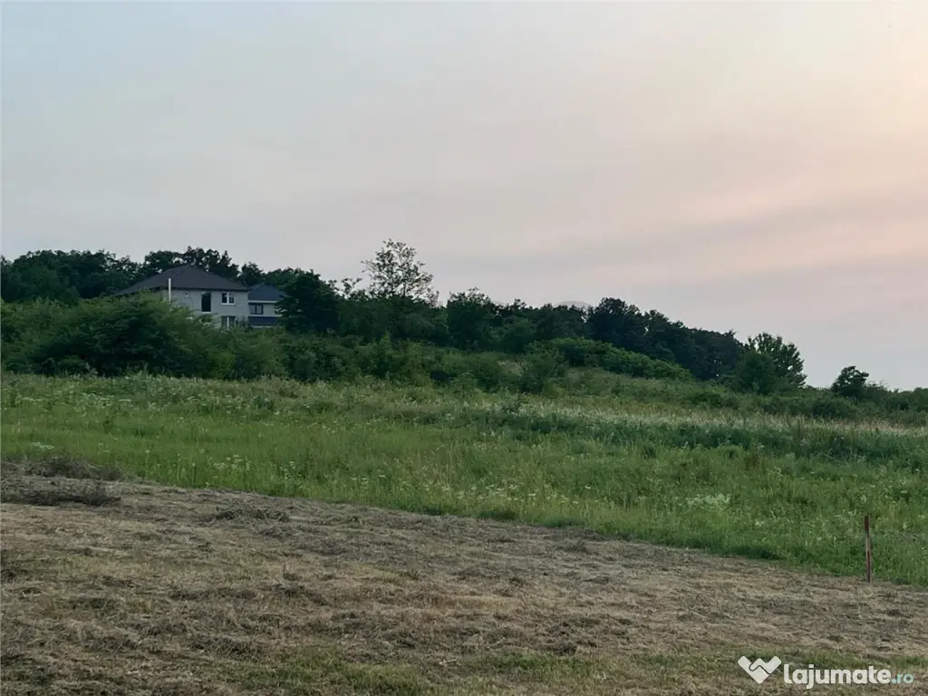 RECO Teren in Paleu 903 mp, acces rapid din Saldabagiu de Mu