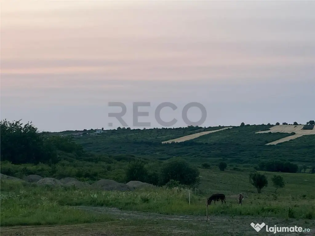 RECO Teren in Paleu 903 mp, acces rapid din Saldabagiu de Mu