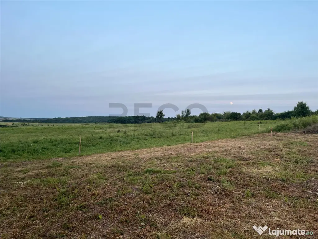 RECO Teren in Paleu 903 mp, acces rapid din Saldabagiu de Mu