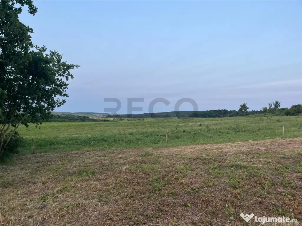 RECO Teren in Paleu 903 mp, acces rapid din Saldabagiu de Mu